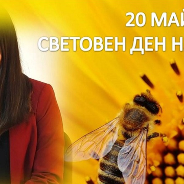 „Жужумания”: 16-годишна ученичка от Дупница с кауза за опазване на пчелите