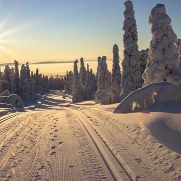 След студената утрин, дневните температури ще се повишат